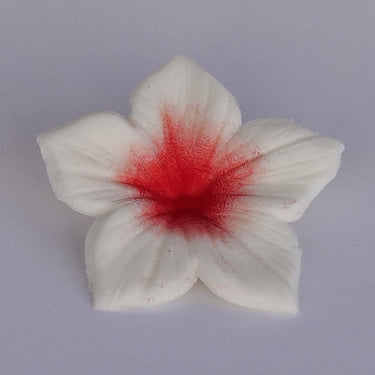 Corante Em Pó Vermelho 7g - JustAddLove